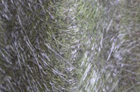 Churchtown fibreglass roof work